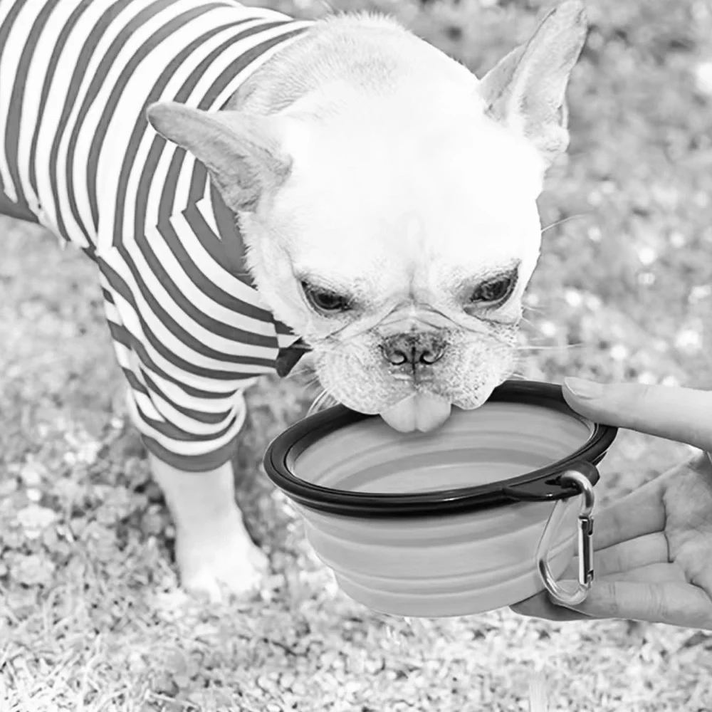 BNIB - Portable Pet Bowl